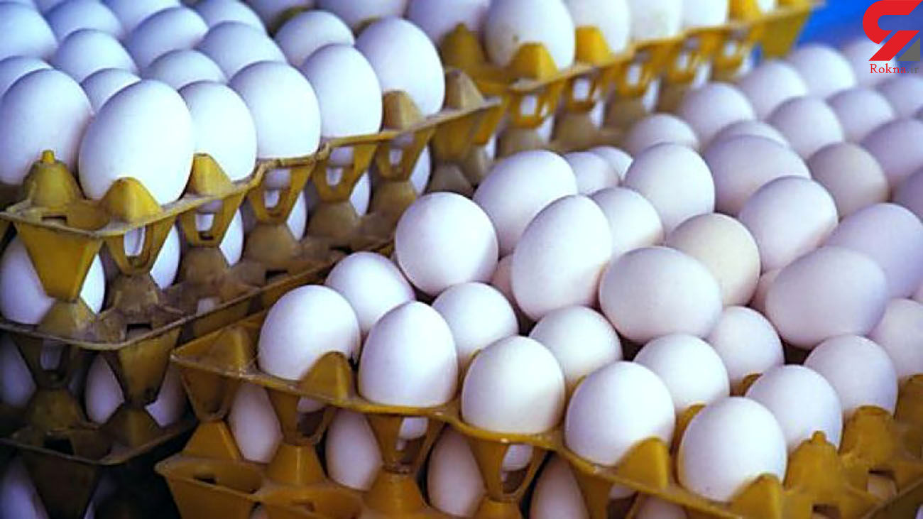 قیمت تخم مرغ در بازار چند نرخی می شود قیمت تخم مرغ در بازار چند نرخی می شود
