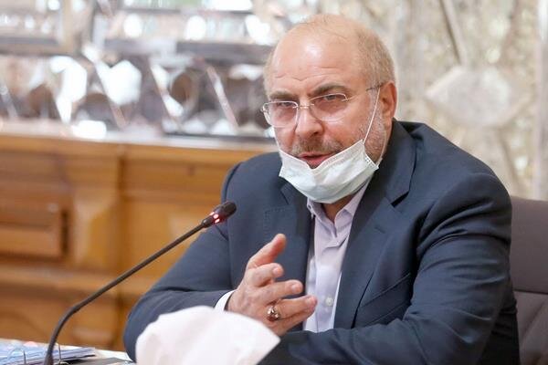 تشکر رییس مجلس از دولت برای غنی سازی 20 درصدی تشکر رییس مجلس از دولت برای غنی سازی 20 درصدی