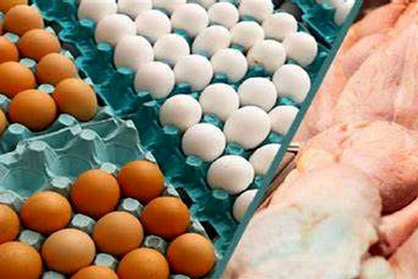 قیمت تخم&zwnj;مرغ هم به زیر نرخ مصوب رسید+ قیمت جدید