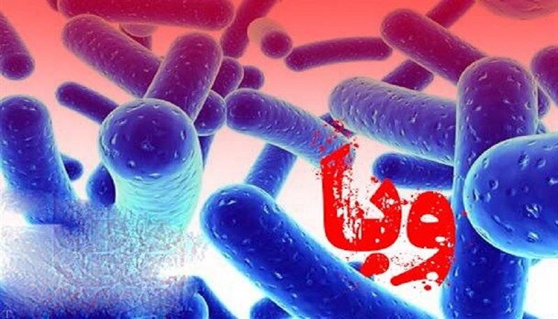چگونه از ابتلا به وبا پیشگیری کنیم؟ چگونه از ابتلا به وبا پیشگیری کنیم؟