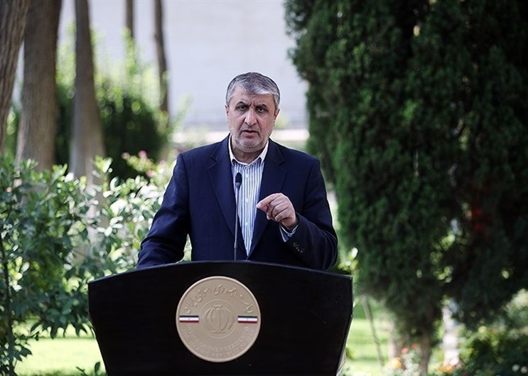 رئیس سازمان انرژی اتمی: فرانسه بیش&zwnj;ترین مزاحمت را در مذاکرات داشته