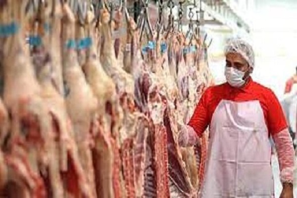 گوشت گوسفند باز هم گران شد/ بزودی فروش اینترنتی راه اندازی میشود گوشت گوسفند باز هم گران شد/ بزودی فروش اینترنتی راه اندازی میشود