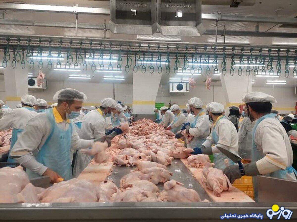 قیمت گوشت مرغ کاهش مییابد قیمت گوشت مرغ کاهش مییابد