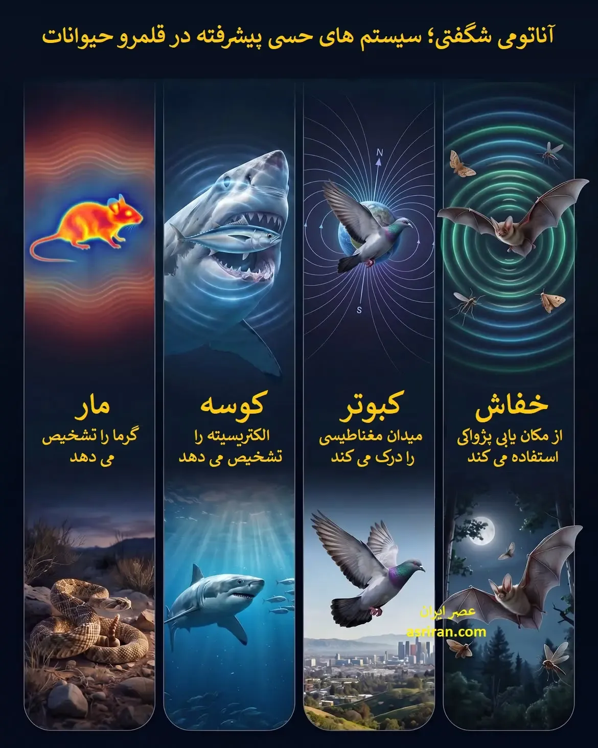 8b78bb11ZjoyNTYxNjUzLmpwZ3xmdWk6MjQ0OTM5OHxsOmZhfHY6MQ